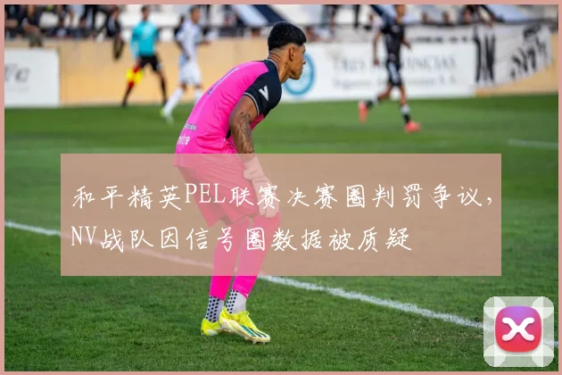 和平精英PEL联赛决赛圈判罚争议，NV战队因信号圈数据被质疑