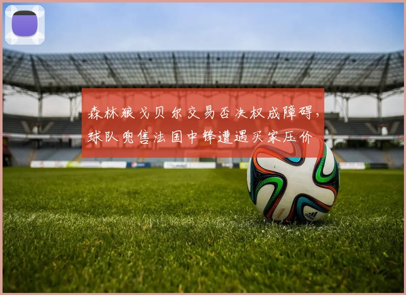 森林狼戈贝尔交易否决权成障碍，球队兜售法国中锋遭遇买家压价